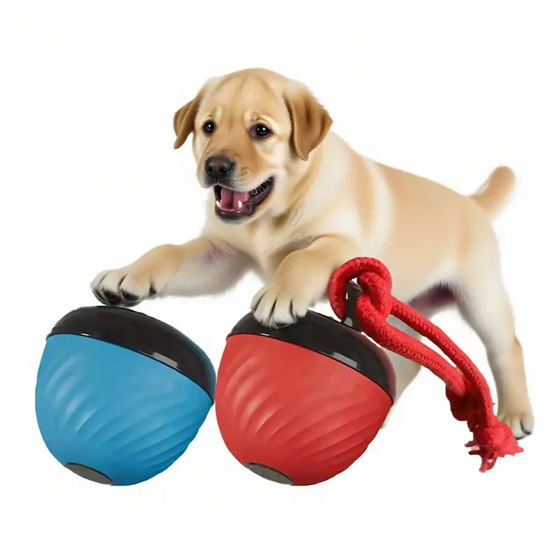 BW3301796(2) Pet Teaball Toy