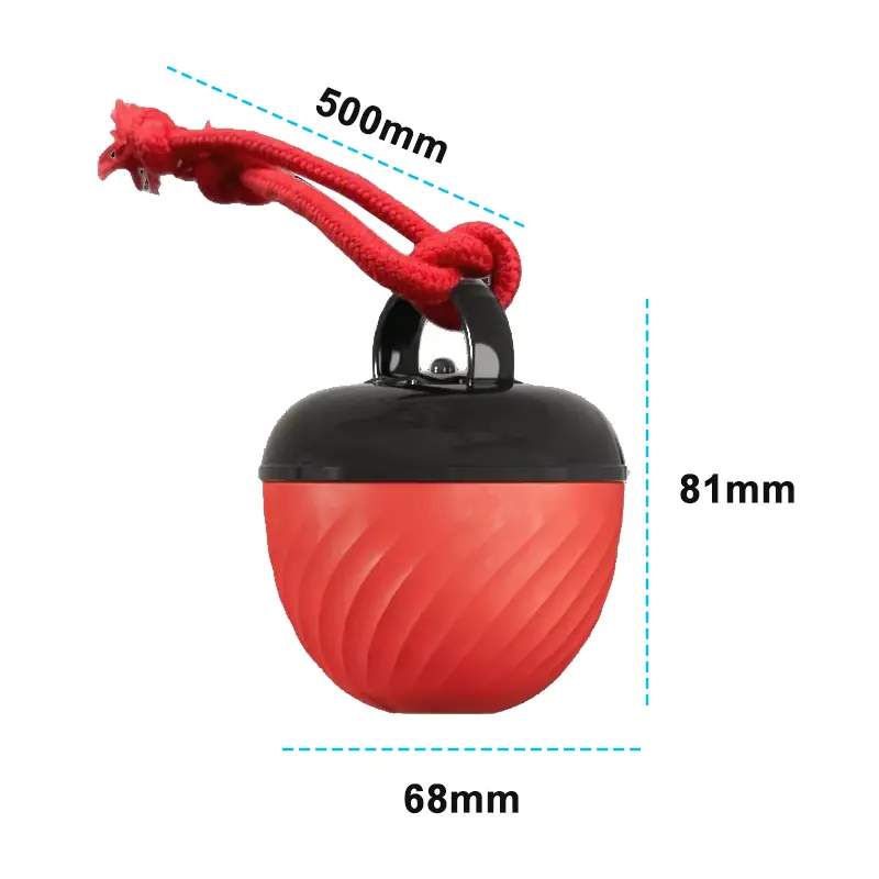 BW3301796(4) Pet Teaball Toy