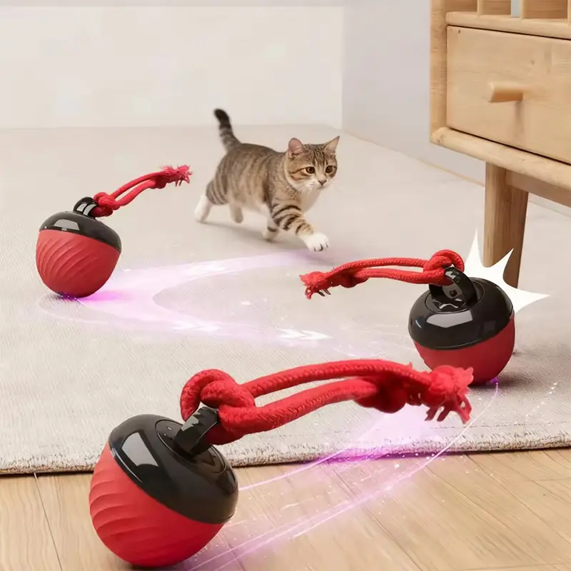 BW3301796(5) Pet Teaball Toy