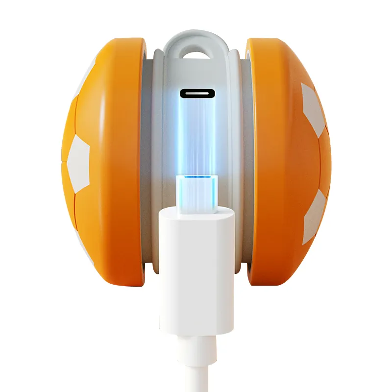 Football Pet Toy
