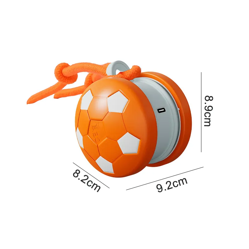 BW3301821(3) Football Pet Toy