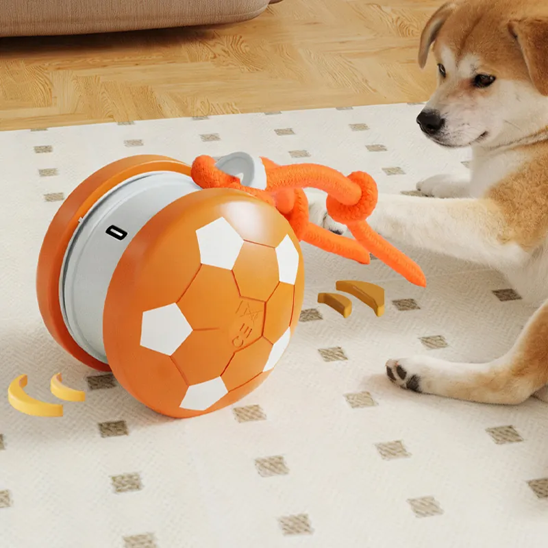 BW3301821(5) Football Pet Toy