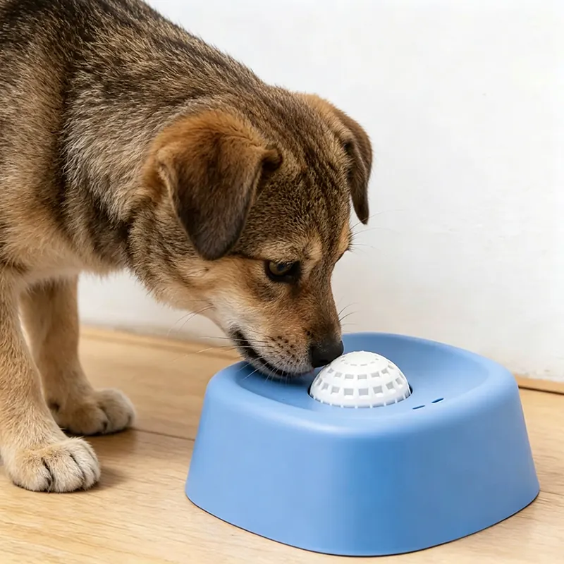 BW3303505(5) Pet Slow Feeding Bowl