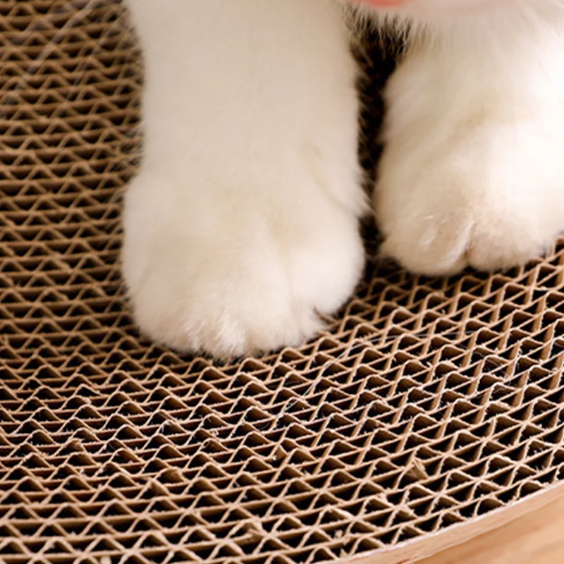 BW3304190(3) Cat Scratch Board Cat Nest